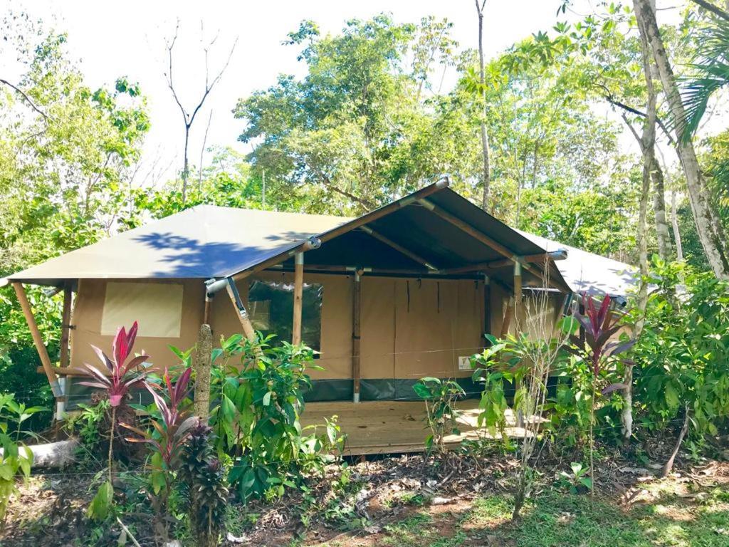 El Pulpo Safari Lodge Ойокал Екстер'єр фото