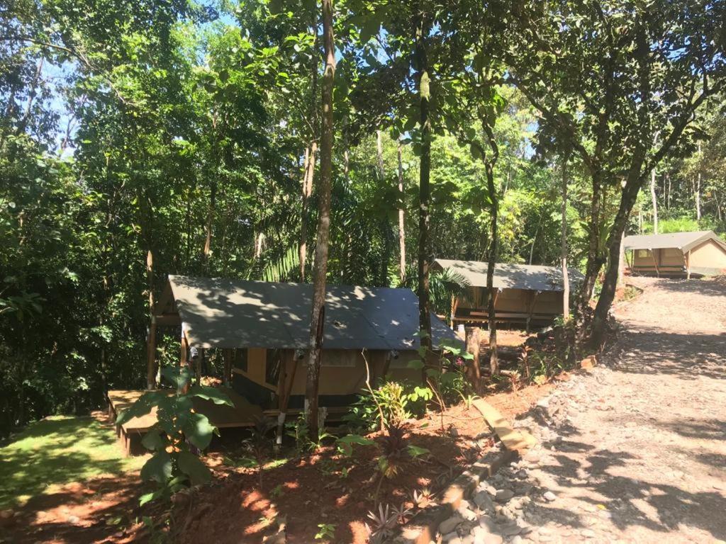 El Pulpo Safari Lodge Ойокал Екстер'єр фото