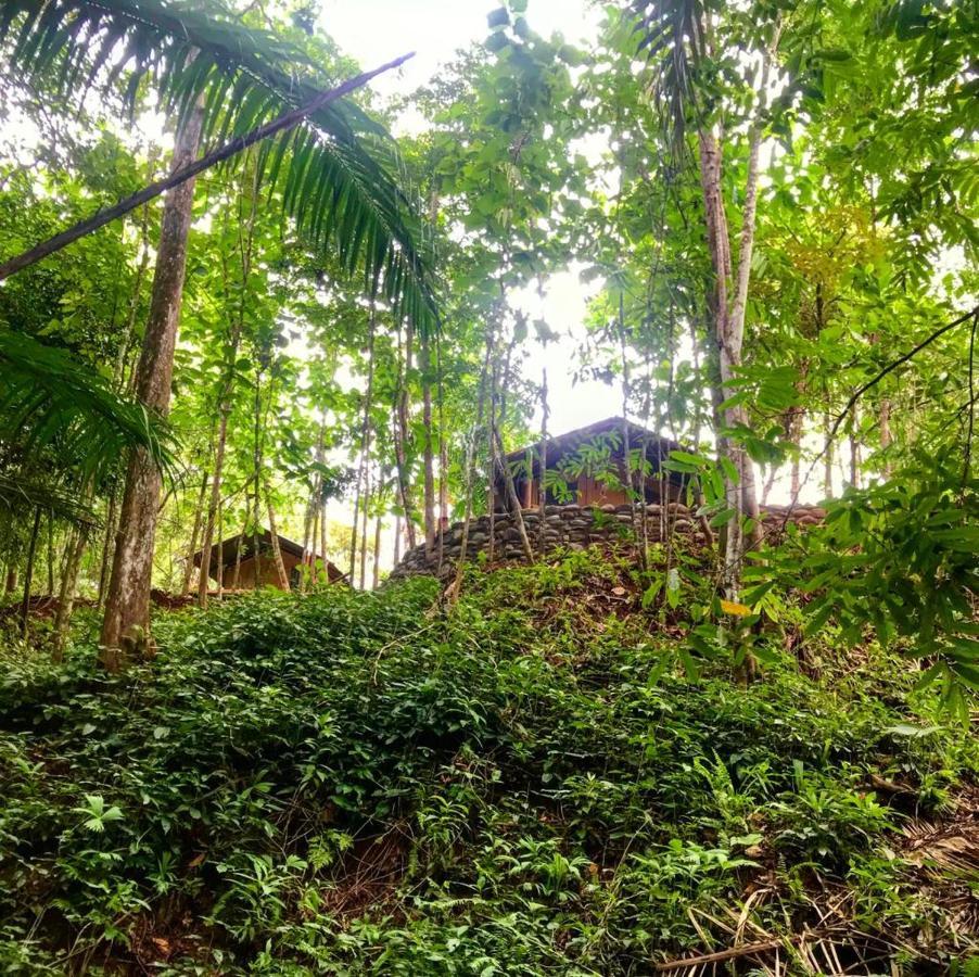 El Pulpo Safari Lodge Ойокал Екстер'єр фото