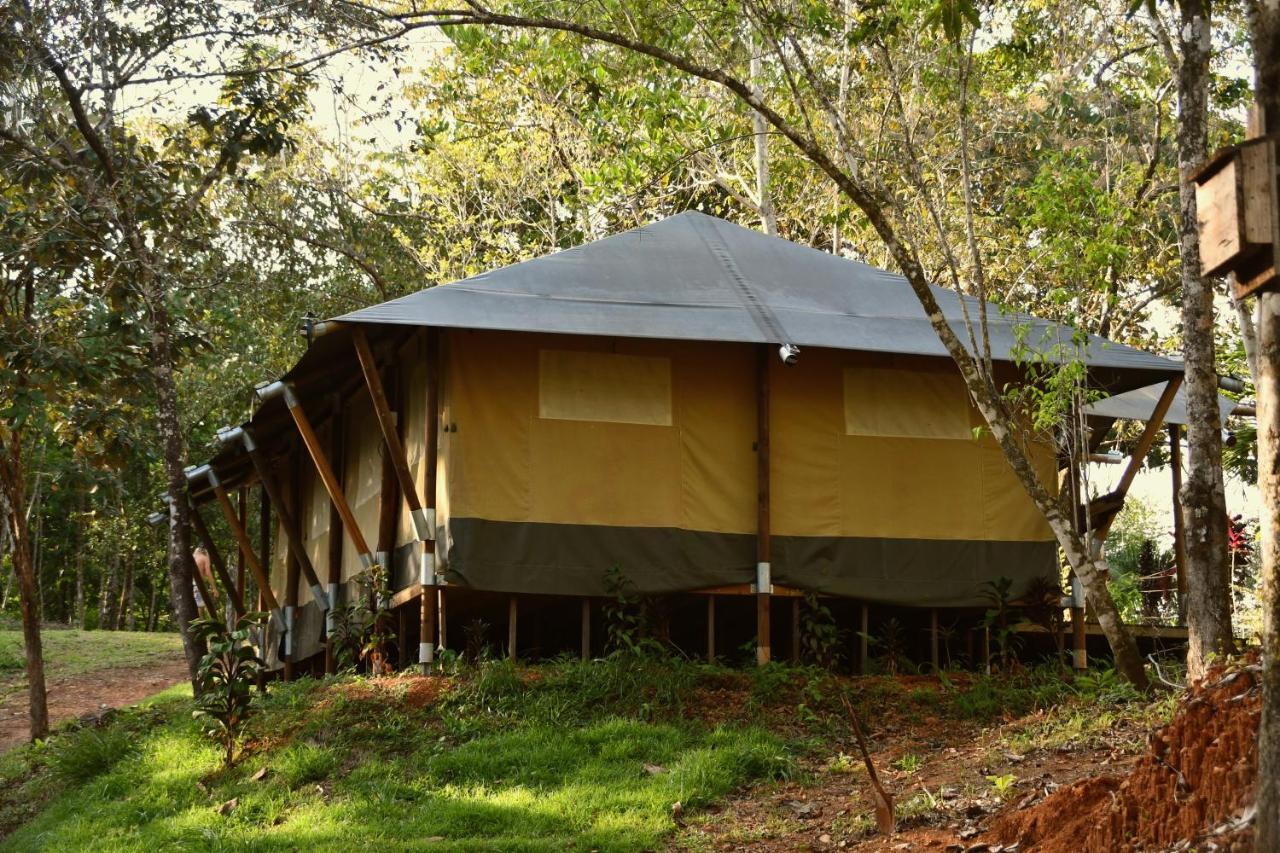 El Pulpo Safari Lodge Ойокал Екстер'єр фото