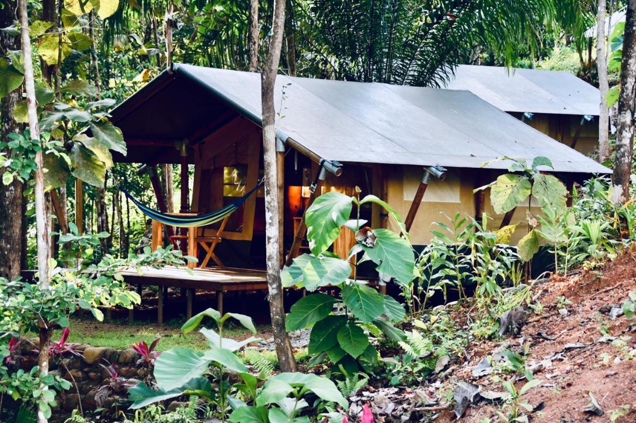 El Pulpo Safari Lodge Ойокал Екстер'єр фото